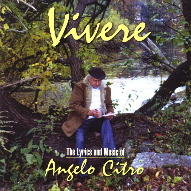 Vivere album cover