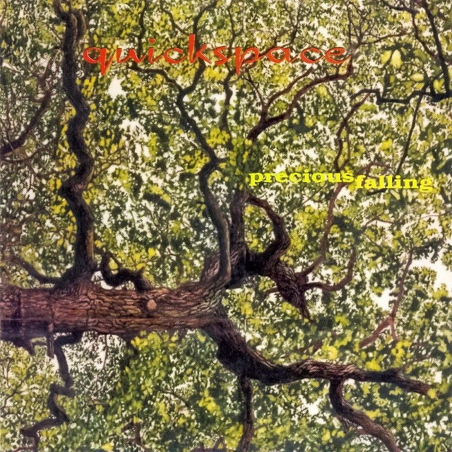 Precious Falling album cover