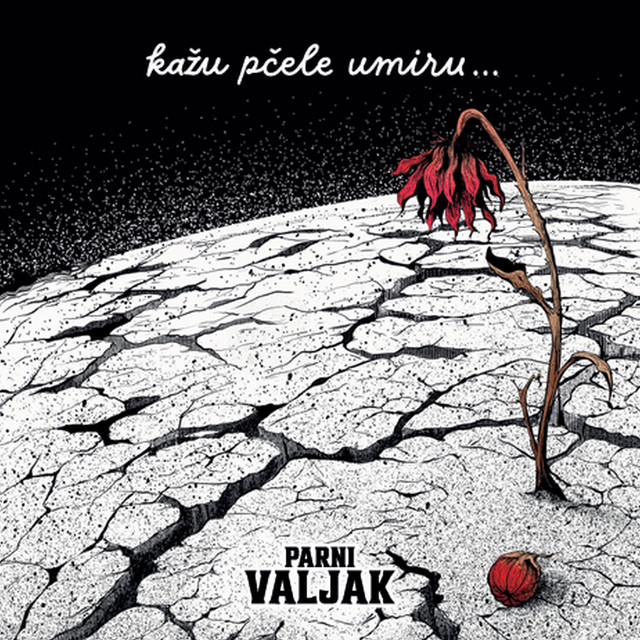 Kažu pčele umiru... album cover