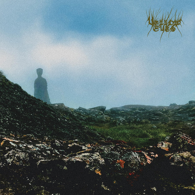 Confusion Gate album cover