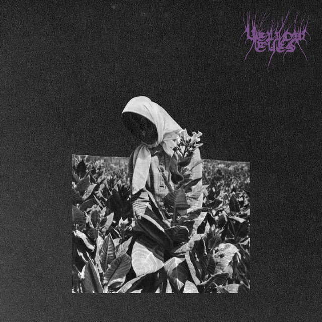Master's Murmur album cover