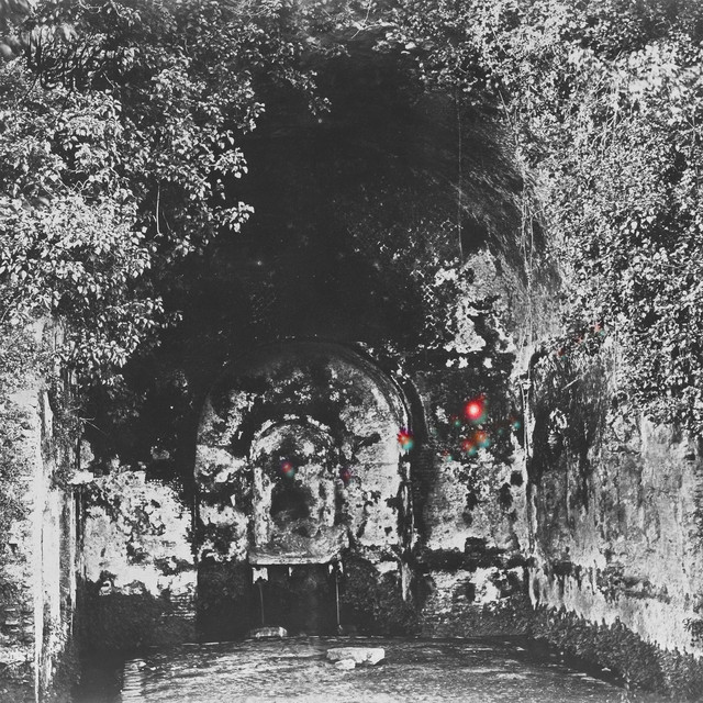 Rare Field Ceiling album cover