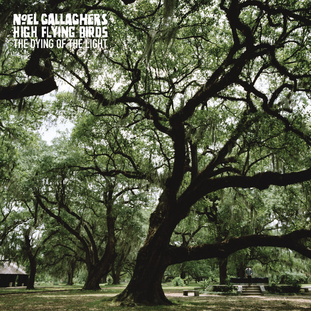 Sennheiser HD 201 as heard on The Dying of the Light by Noel Gallagher's High Flying Birds (2015)