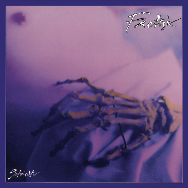 Scheintot album cover