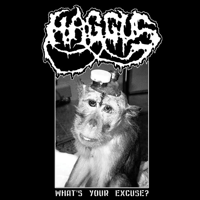 What's Your Excuse? album cover