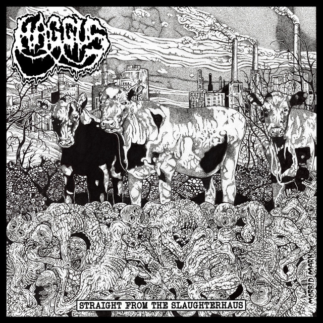 Straight from the Slaughterhaus album cover