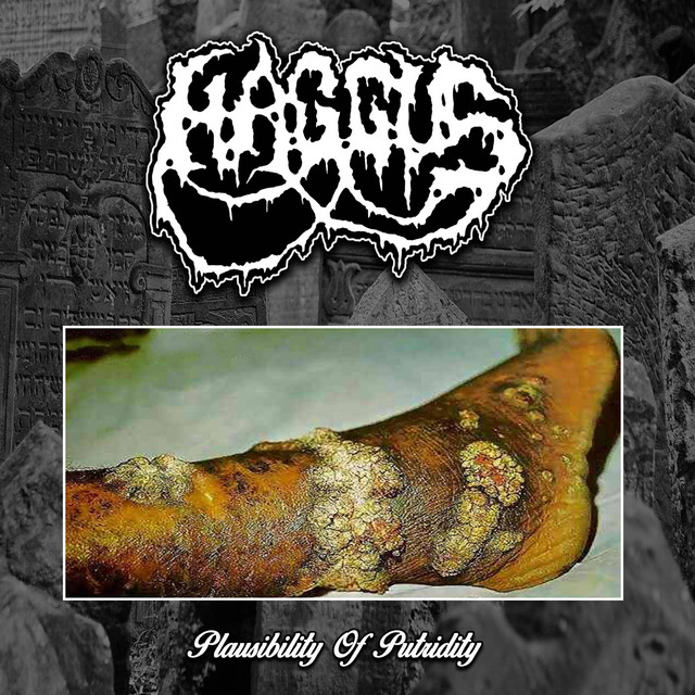 Plausibility Of Putridity album cover
