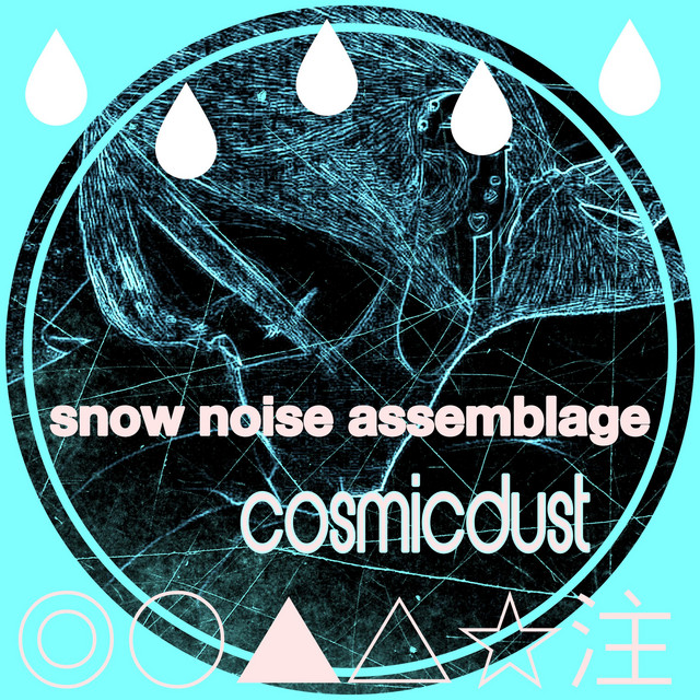 snow noise assemblage album cover