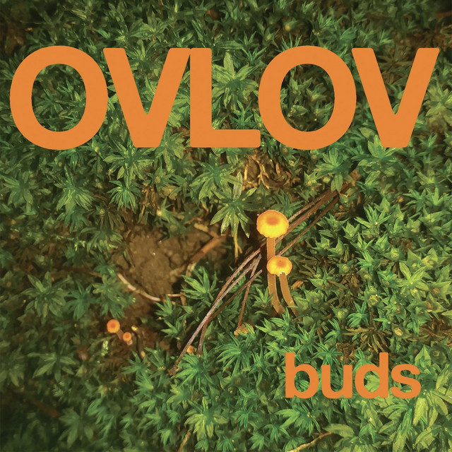 Buds album cover