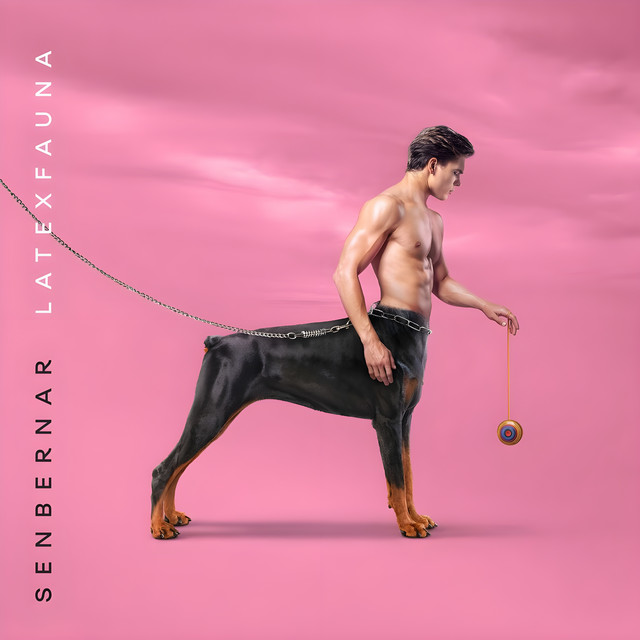 Senbernar album cover