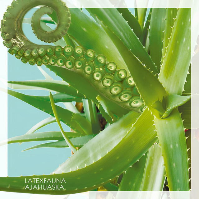 Ajahuaska album cover