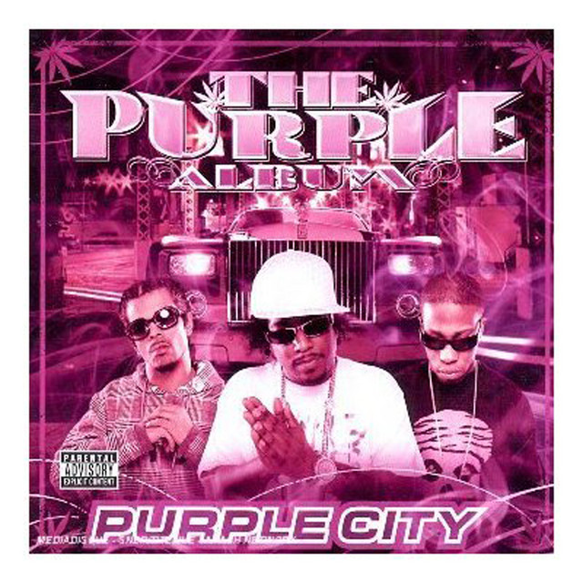 The Purple Album album cover