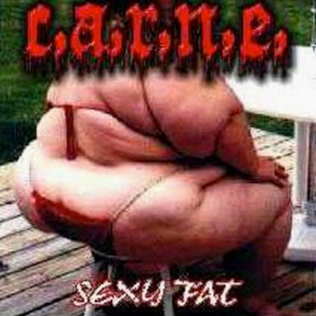 Sexy Fat album cover