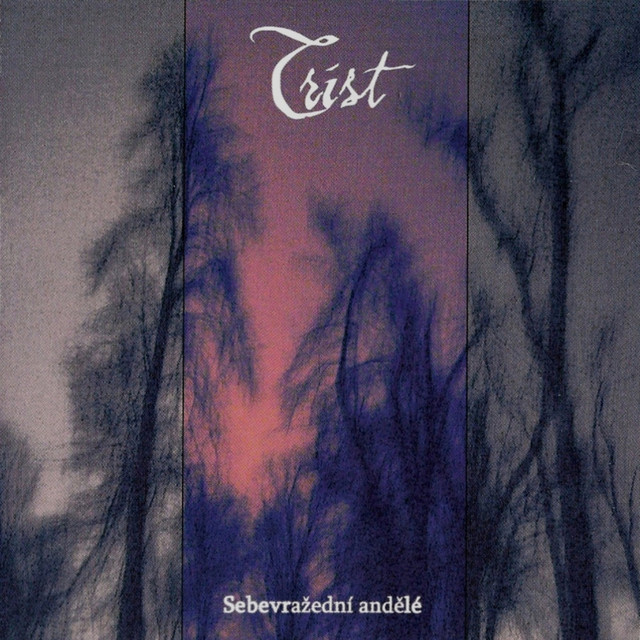 Sebevrazedni Andele album cover