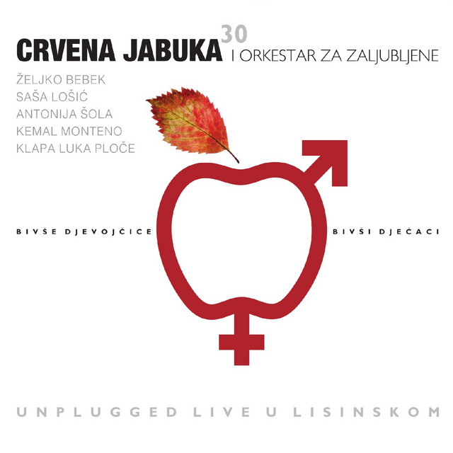 Bivše djevojčice, bivši dječaci (Unplugged live u Lisinskom) album cover