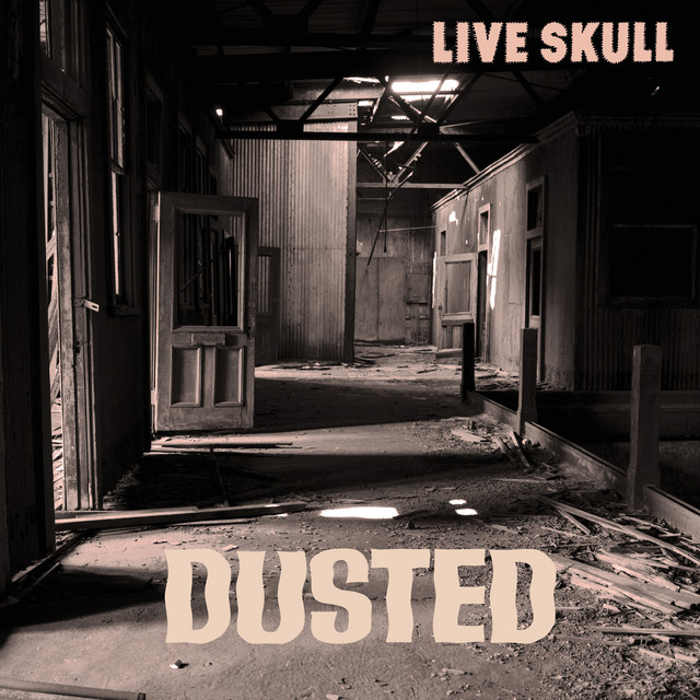 Dusted (2023 Remastered Version) album cover