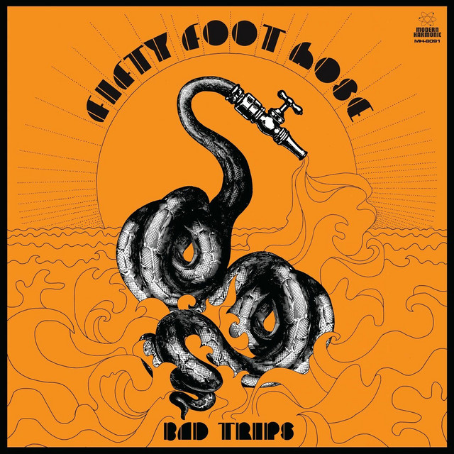 Bad Trips album cover