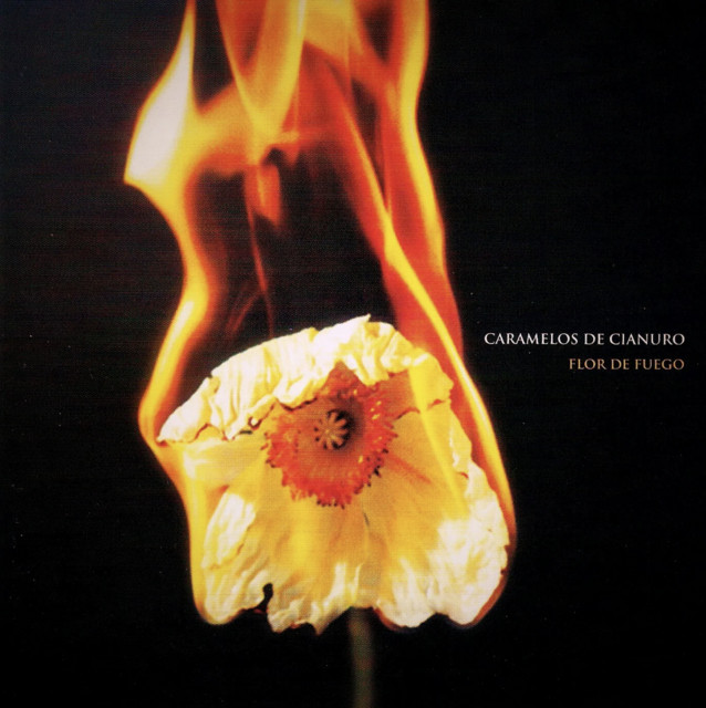 Flor De Fuego album cover