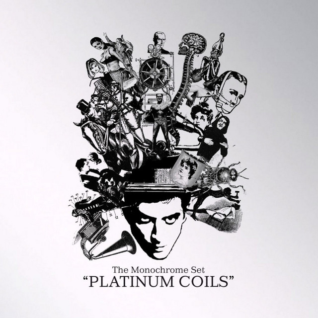 Platinum Coils album cover