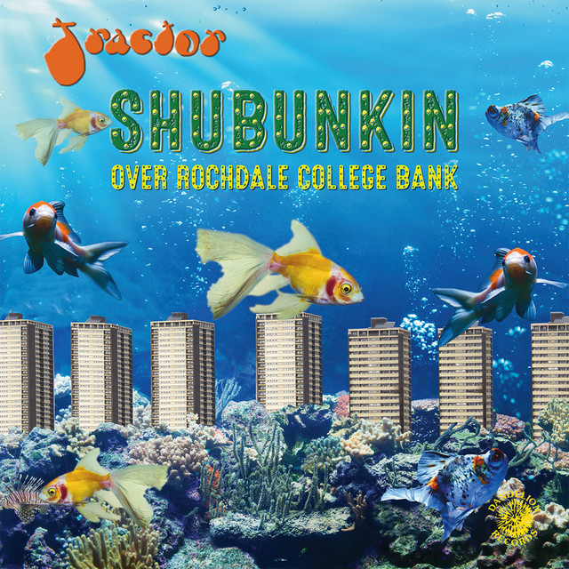 Shubunkin Over Rochdale College Bank album cover