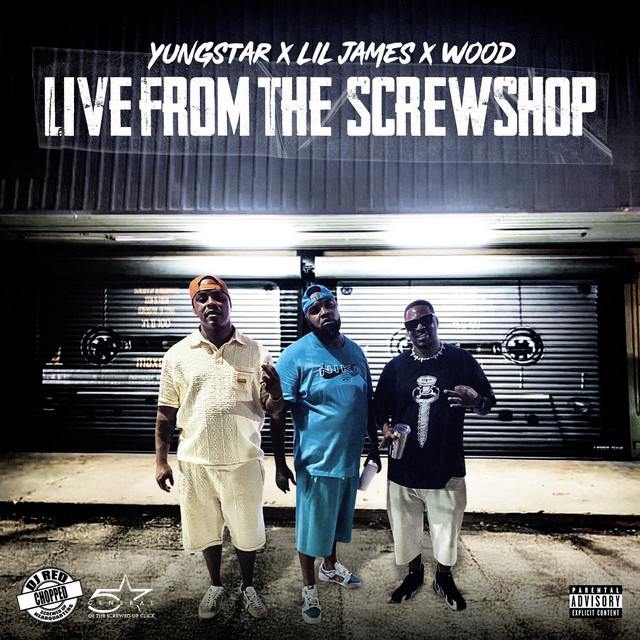 Live From The Screwshop album cover
