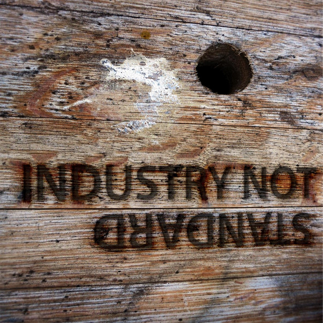 Industry Not Standard album cover