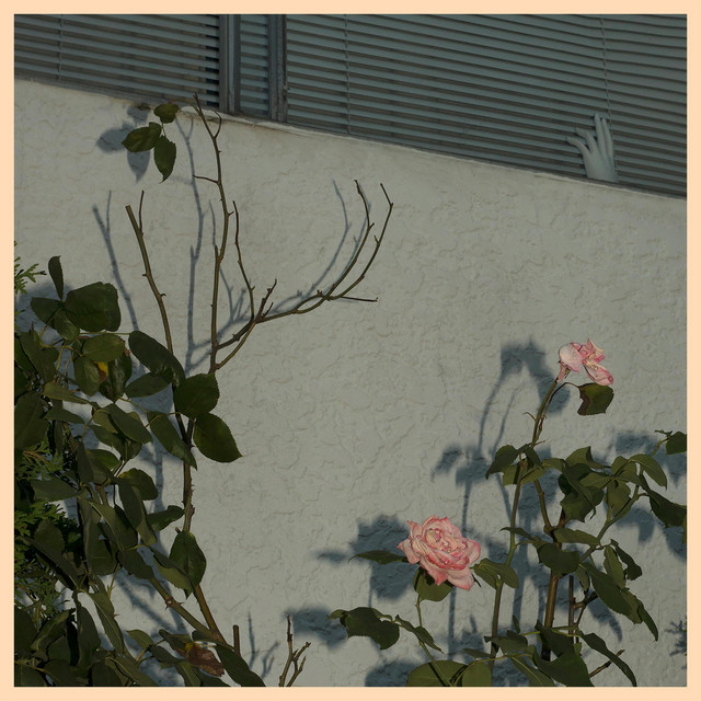 Savior (Deluxe Edition) album cover