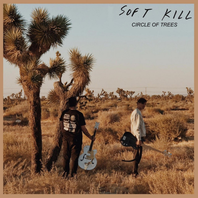 Circle of Trees album cover