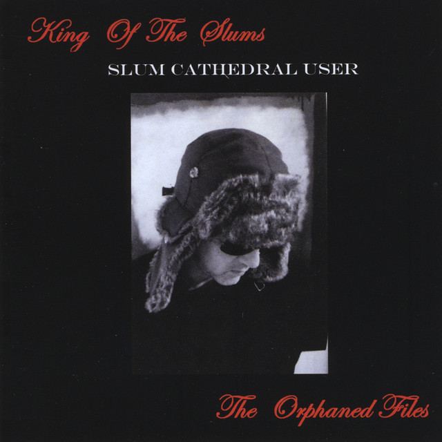 The Orphaned Files album cover
