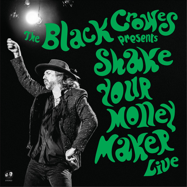 Shake Your Money Maker (Live) album cover