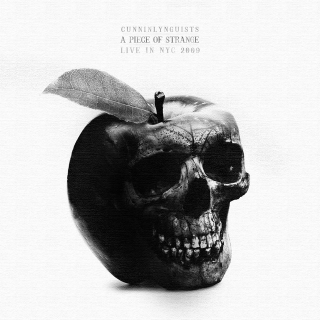 A Piece of Strange Live In NYC 2009 album cover