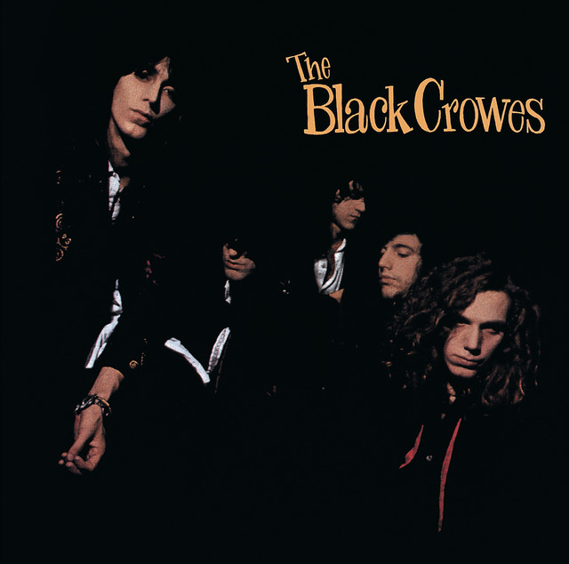 Martin D-28 as heard on Shake Your Money Maker by The Black Crowes (1990)