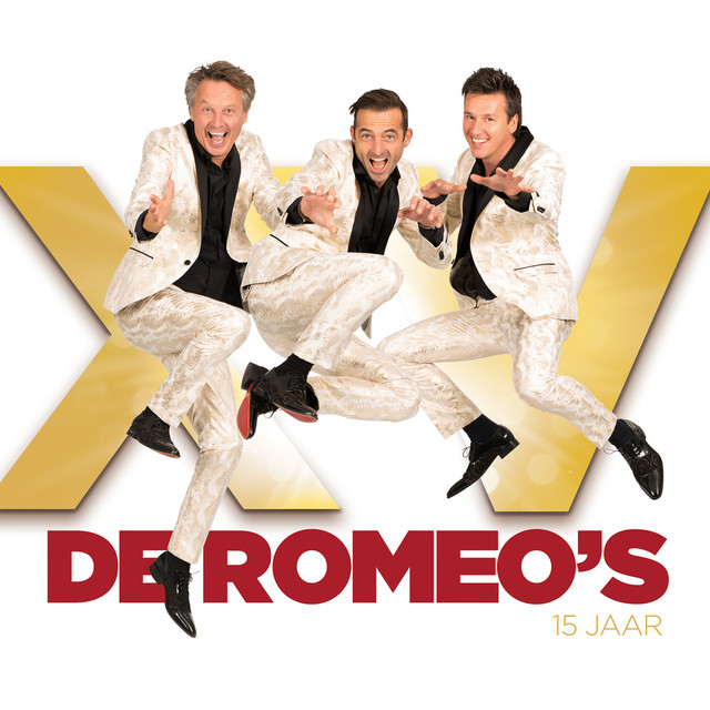 15 Jaar album cover
