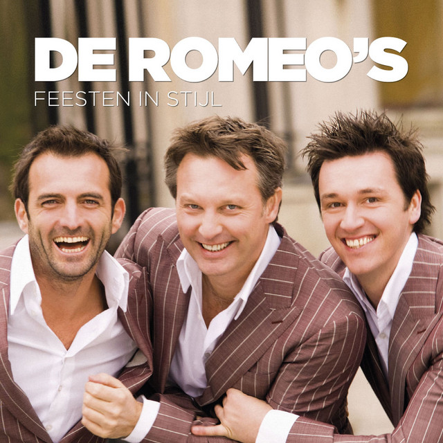 Feesten In Stijl album cover