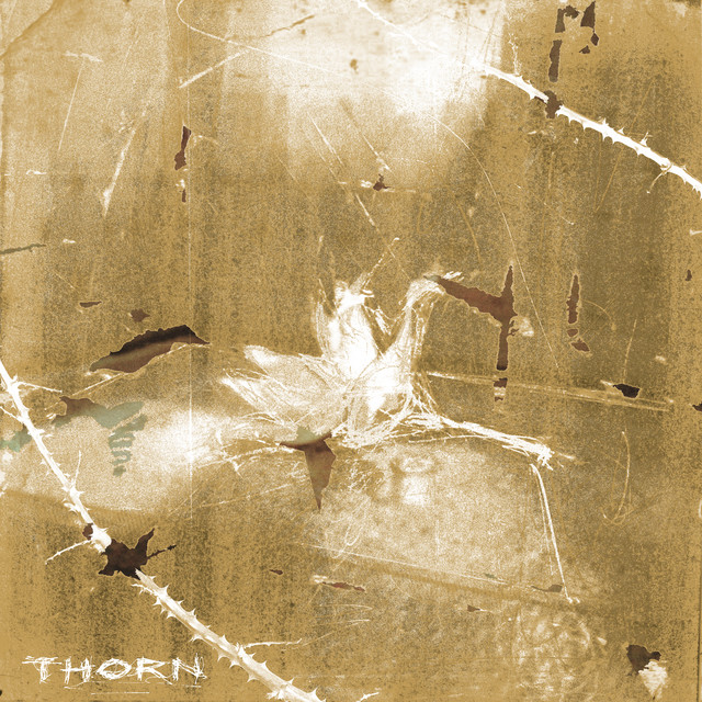 Keo – Thorn album cover