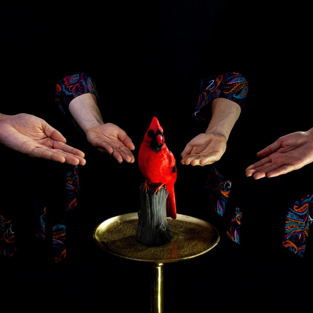 Red Bird album cover