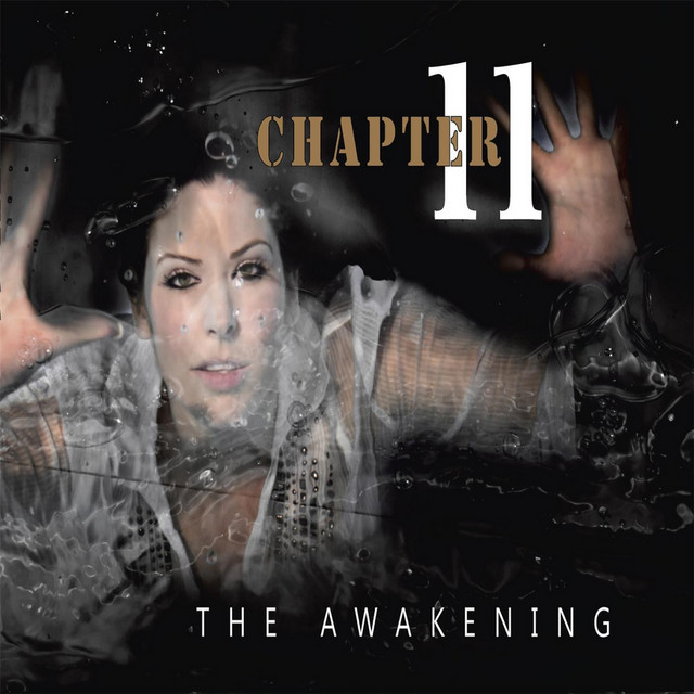 The Awakening album cover