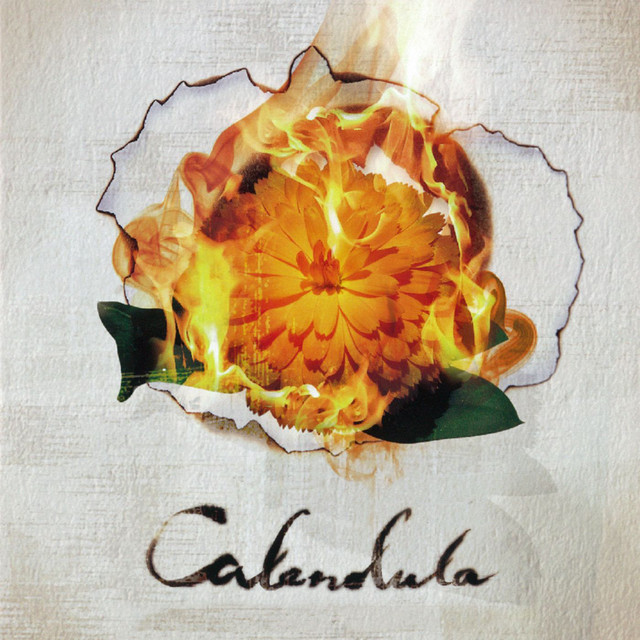 Calendula album cover