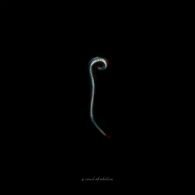 Schecter AR-06 as heard on Ill by a crowd of rebellion (2018)