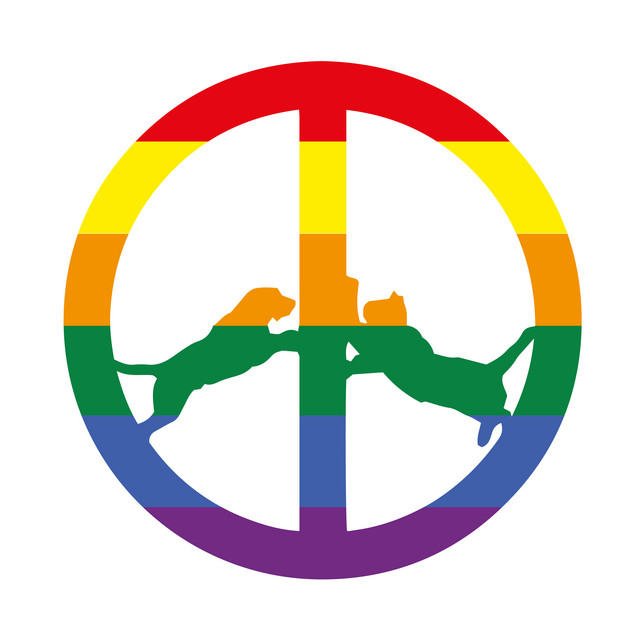 Rainbow Edition album cover