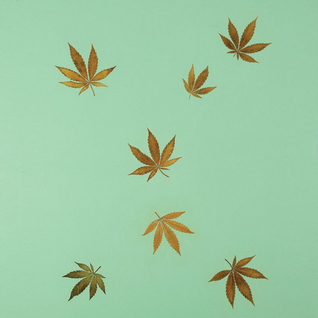 Untitled album cover