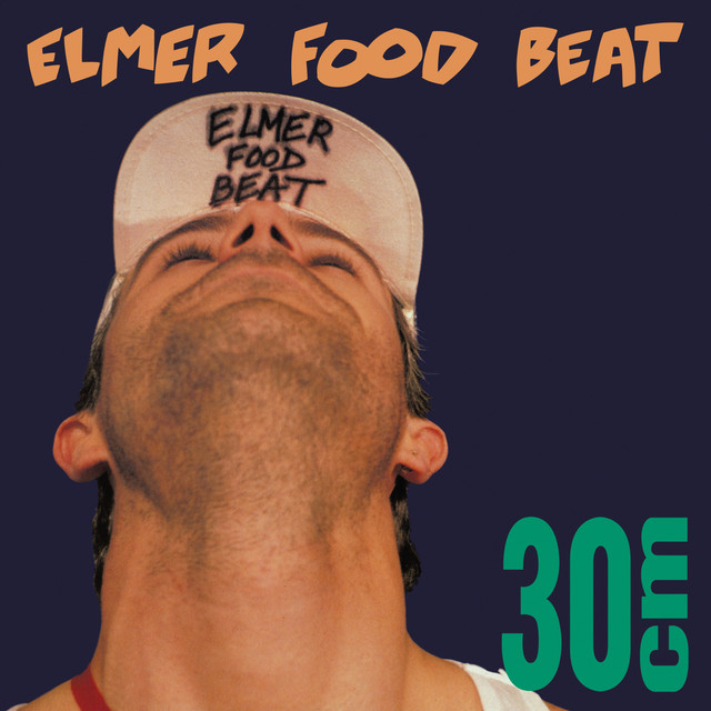 30 cm album cover