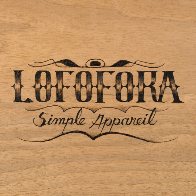 Simple appareil album cover