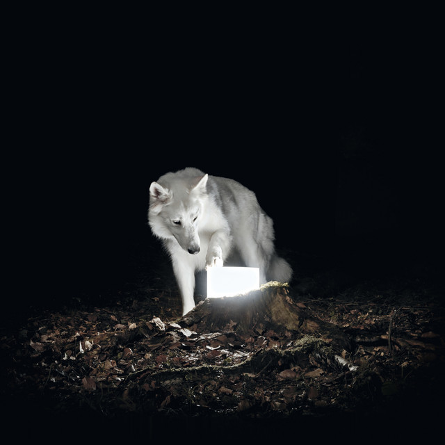 Surveillance album cover