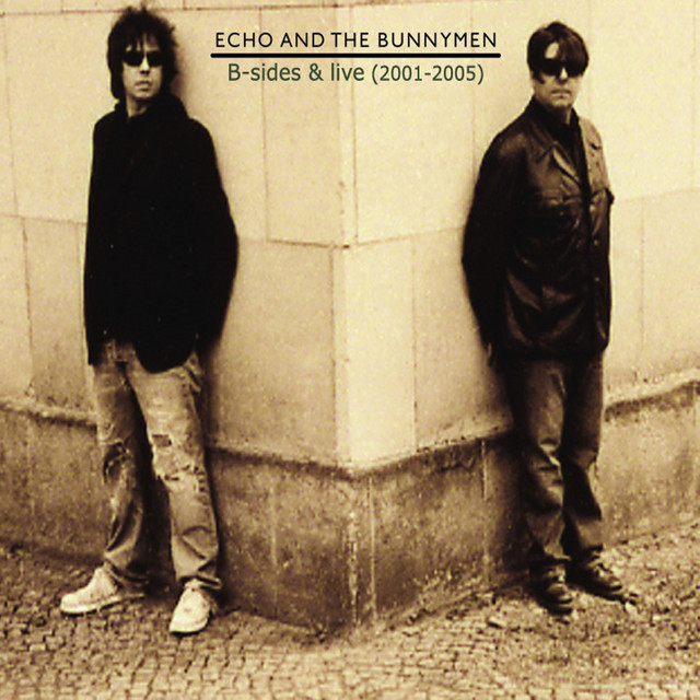 B-Sides and Live (2001 - 2005) album cover