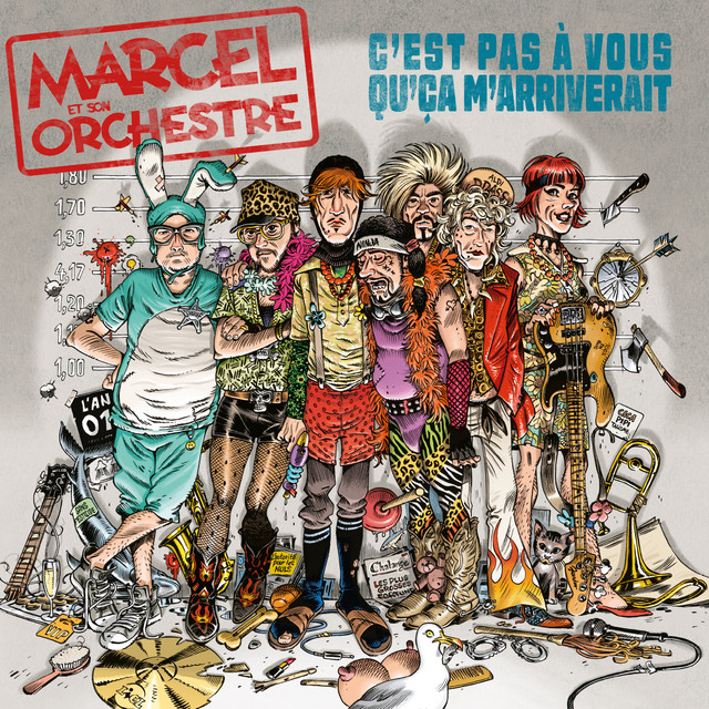 C'est pas à vous qu'ça m'arriverait album cover