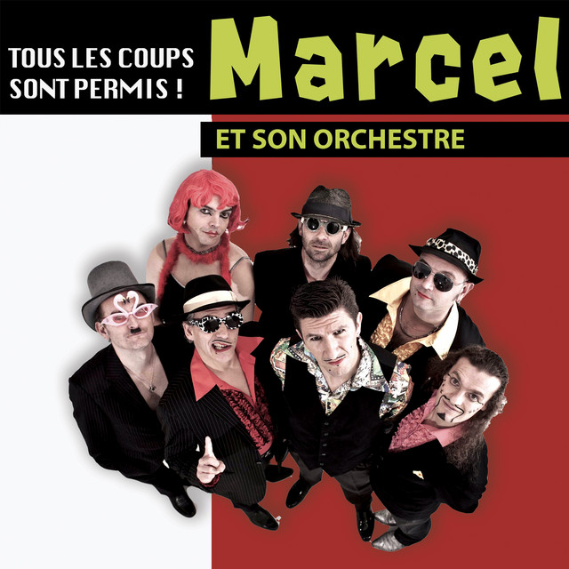 Tous les coups sont permis ! (Acoustique 2012) album cover