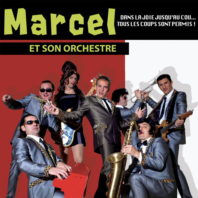 Dans la joie jusqu'au cou... Tous les coups sont permis ! album cover