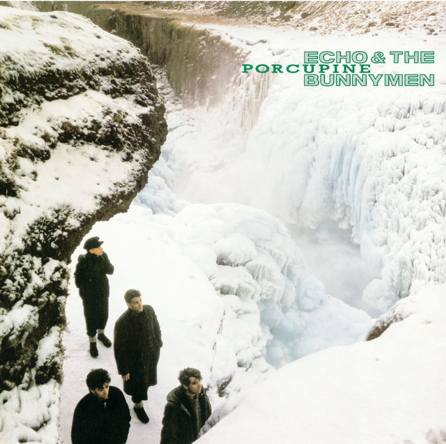 Porcupine (Expanded; 2004 Remaster) album cover