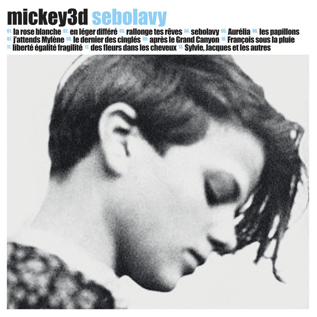 Sebolavy album cover